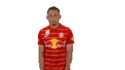 Red Bull Celebration Sticker by FC Red Bull Salzburg