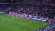 simon terodde celebration GIF by 1. FC Köln