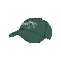 aimnsportswearse sport baseball college hat Sticker
