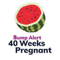Pregnancy 40 Weeks Sticker by The Bump