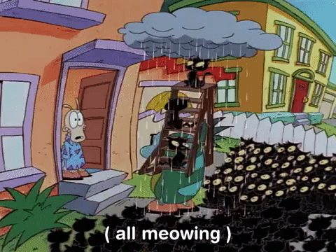 rockos modern life nicksplat GIF