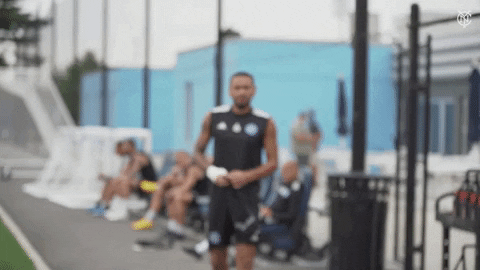 New York City Fc Peace GIF by NYCFC