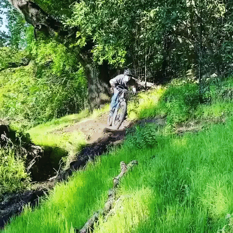 officialsportsbasement giphygifmaker GIF