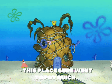 season 8 GIF by SpongeBob SquarePants