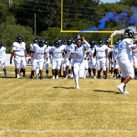 WJCT giphyupload vikings backflip trojans GIF