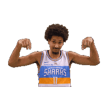 Lnb Sticker by Antibes Sharks