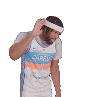 Sharksantibes Sticker by Antibes Sharks