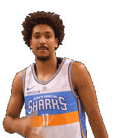 Lnb Sticker by Antibes Sharks