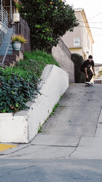 GIF by Pizza Skateboards