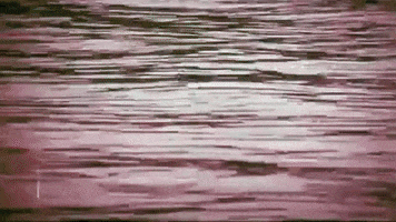 Video Art Film GIF