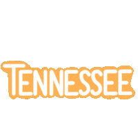 States Usa Sticker
