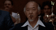 Karate Kid Yes GIF by LosVagosNFT