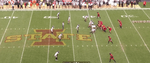 nfalato11 giphyupload GIF