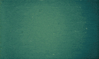 direct cinema GIF