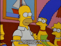 homer simpson episode 13 GIF
