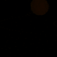 Sport GIF by Ismael Gudiño