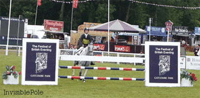 show jumping horse GIF