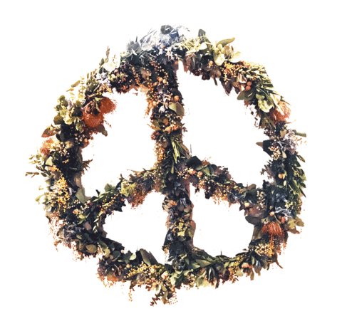 Framehouse giphyupload peace framehouse theframehouse Sticker