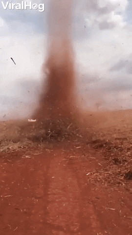 Dust Devil Drifts Across Field GIF by ViralHog