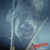 SignatureEntertainmentUK movie film movies wtf GIF