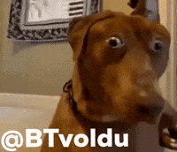 Btvoldu GIF