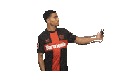 Bayer Leverkusen Selfie Sticker by Bundesliga