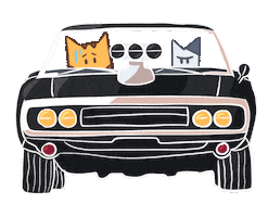 Driving Fast And Furious Sticker