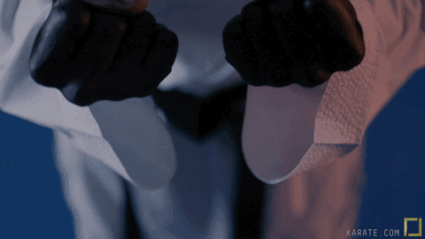 GIF by Karate Combat