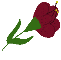 Flower Sticker by imajanation