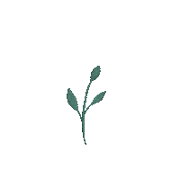 Khadzmulla flower plant leaves floral Sticker