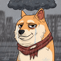 Sad Shiba Inu GIF by Doge Pound
