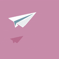 benjamadeo plane avion vamonos benjaminamadeo GIF