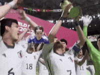 World Cup Win GIF