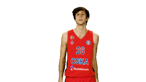Cskabasket Sticker by CSKA Moscow