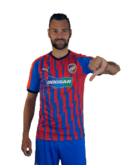 fcviktoria fcvp reznik Sticker