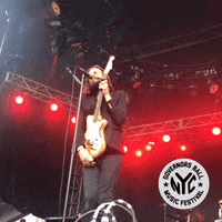 father john misty governors ball GIF by GOVBALL NYC