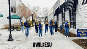 Blueandgold GIF by Wilkes University