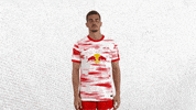 I Dont Know Champions League GIF by RB Leipzig