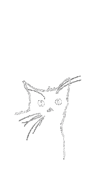 Black Cat Art Sticker by natscanfly