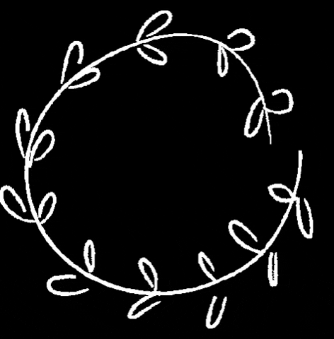 Svetlanakohlmeierfotografie plant circle kreis white circle GIF