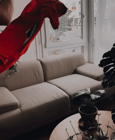 Alexdim couch jacket transition easy life GIF