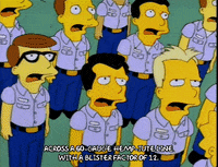 the simpsons episode 25 GIF