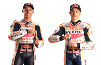 Honda Celebration Sticker by Box Repsol