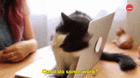 Can I Do Some Work?
