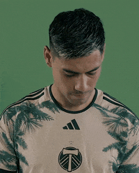 Mls Portland GIF by Timbers