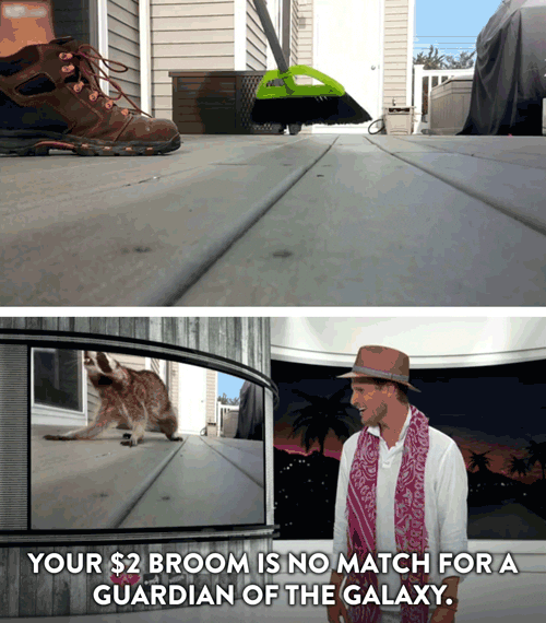 guardians of the galaxy raccoon GIF by Comedy Central