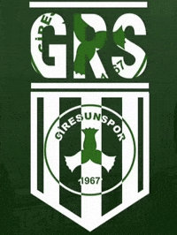 Goal Futbol GIF