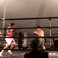 boxing Rocnationsports GIF by Dustin Fleischer