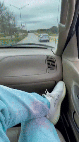 cuteanimalland giphyupload GIF