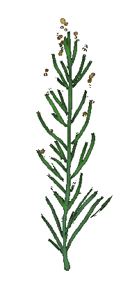 Grass Sticker